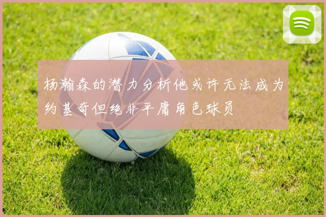 杨瀚森的潜力分析他或许无法成为约基奇但绝非平庸角色球员