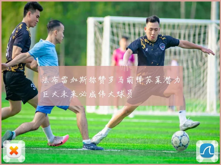 法布雷加斯称赞罗马前锋苏莱潜力巨大未来必成伟大球员