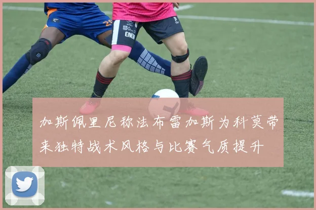 加斯佩里尼称法布雷加斯为科莫带来独特战术风格与比赛气质提升