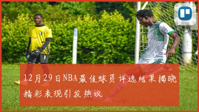 12月29日NBA最佳球员评选结果揭晓精彩表现引发热议